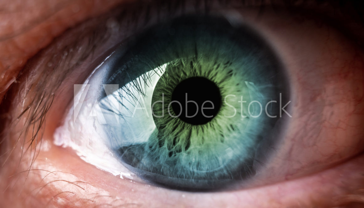 AdobeStock_318979129_Preview