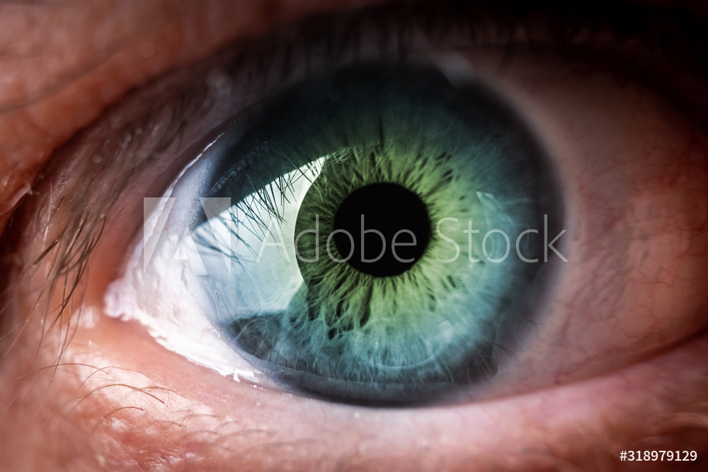 AdobeStock_318979129_Preview